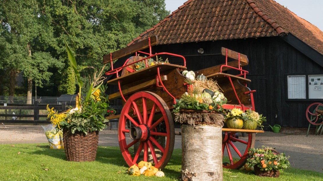 Nostalgie bij de Wendezoele