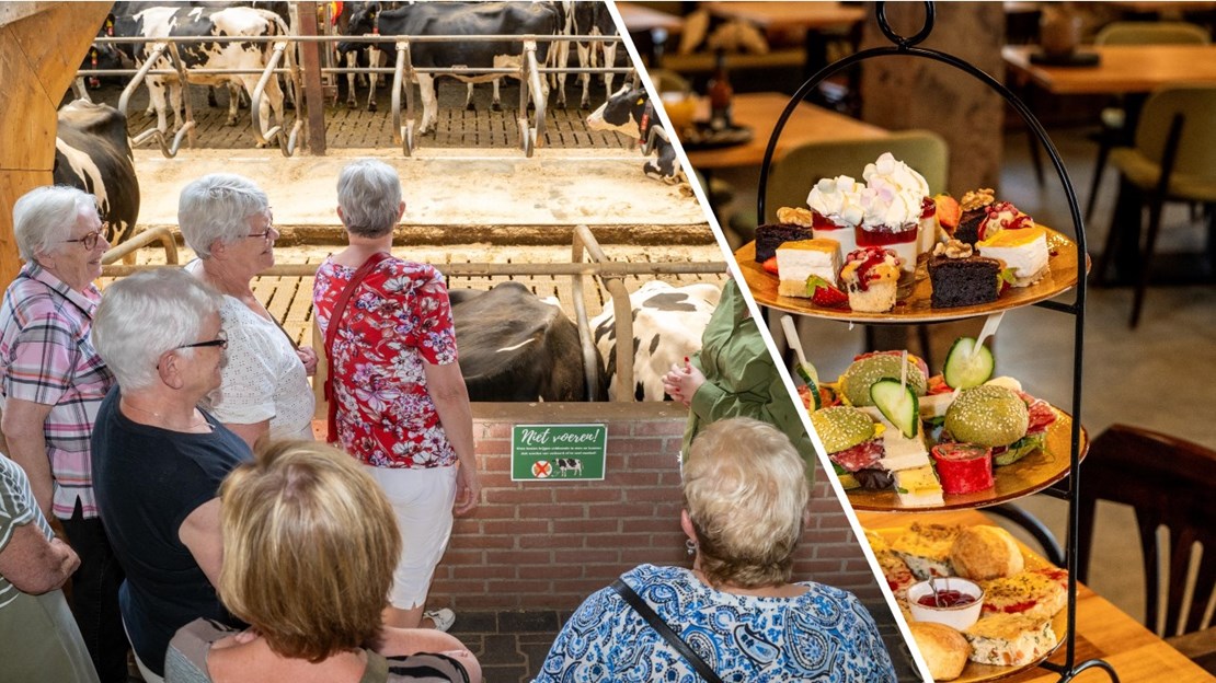 Namiddag thee bij Kaamps