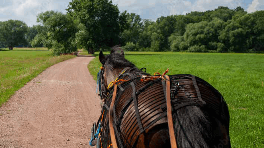 Met paard en wagen door het Twentse land